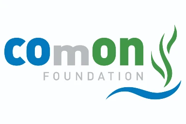 Comon Foundation