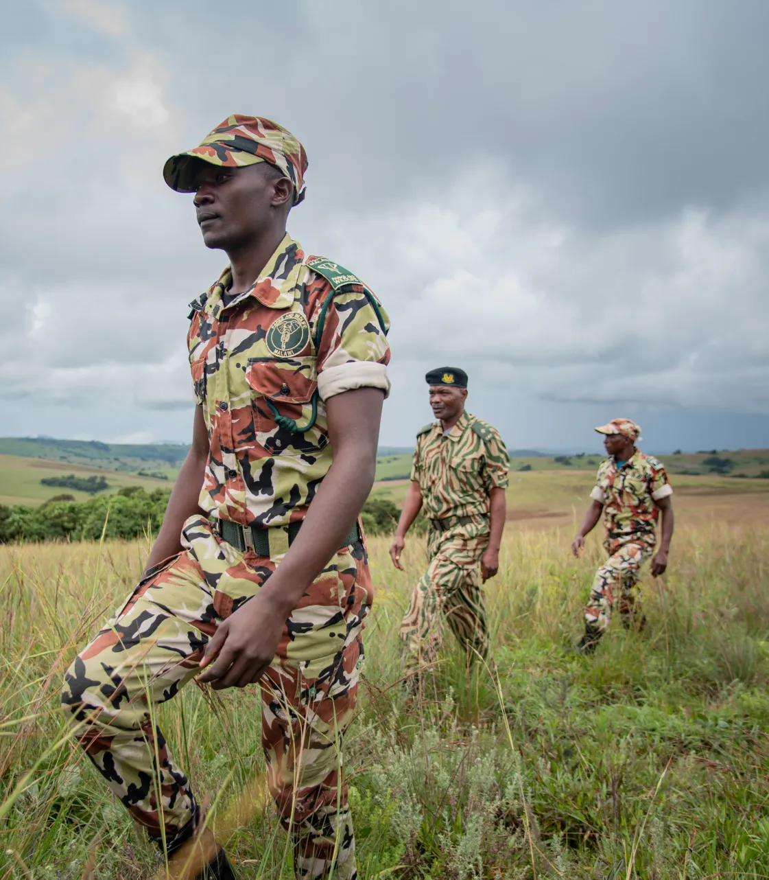 Three uniformed soldiers walking through tall grass in a rolling green landscape under a cloudy sky.