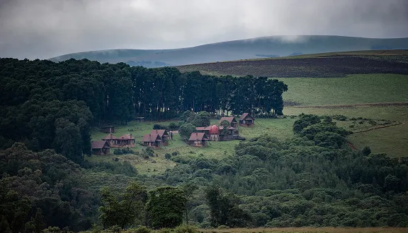 Scenic landscape with a cluster of cottages surrounded by lush green forest and rolling hills.